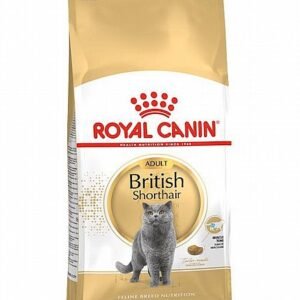 רויאל קנין לחתול בריטי קצר שיער 4 ק"ג