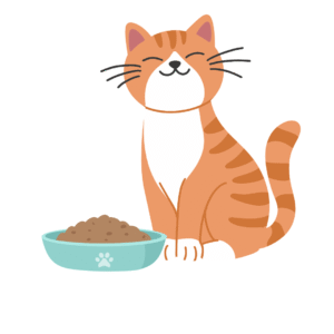 מזון לחתולים