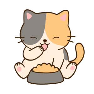 מזון גורי חתולים