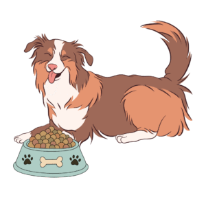 מזון לכלבים