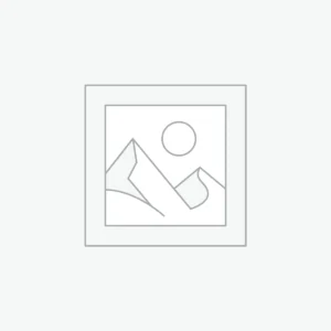 מזון לכלבים